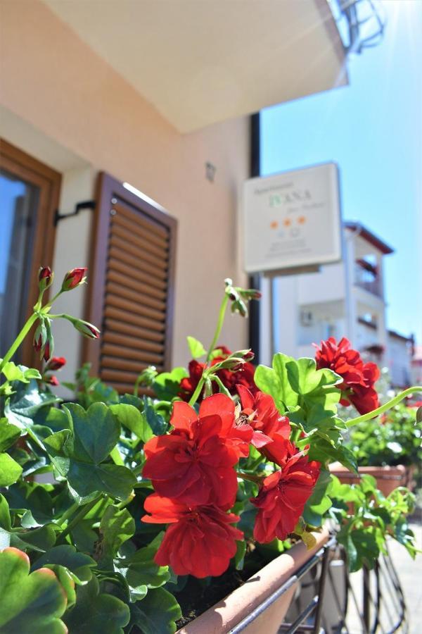 Apartments & Rooms Ivana Rovinj Pokój zdjęcie